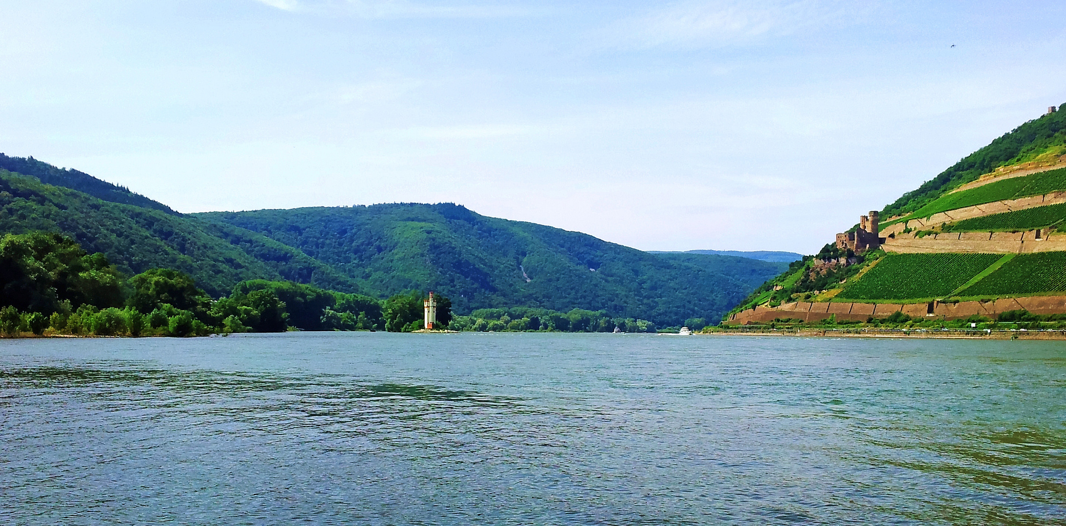 Mäuseturm und Burg Ehrenfels bei Bingen (2)