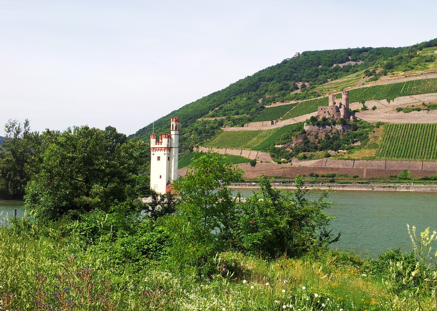 Mäuseturm und Burg Ehrenfels bei Bingen