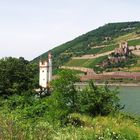 Mäuseturm und Burg Ehrenfels bei Bingen