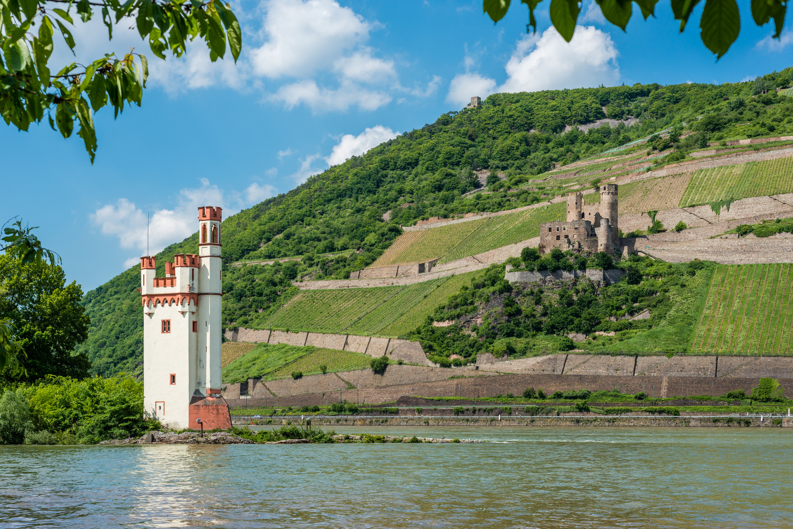 Mäuseturm und  Ehrenfels (Rahmen)