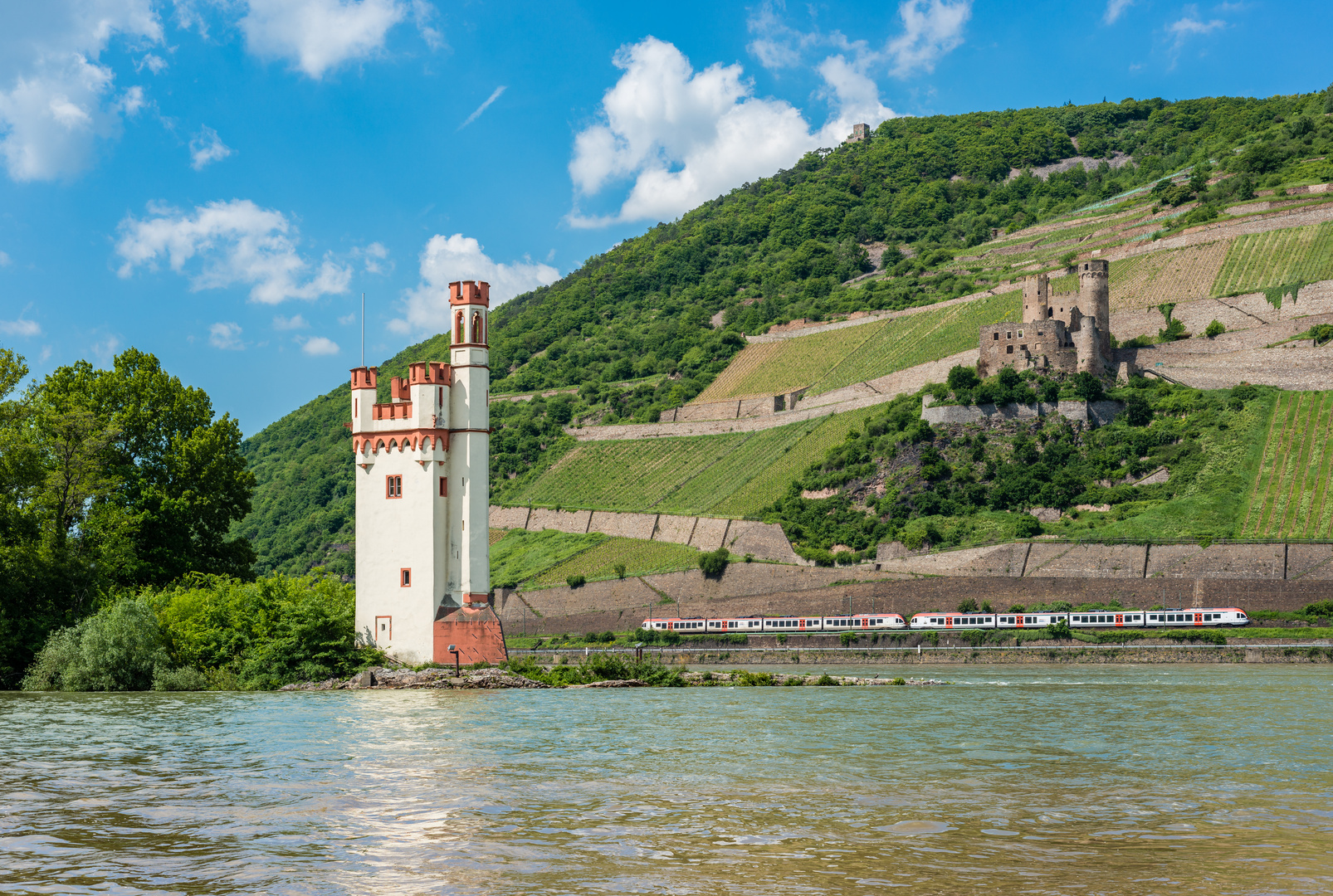 Mäuseturm und Ruine Ehrenfels 3