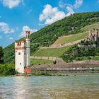 Mäuseturm und Ruine Ehrenfels 3