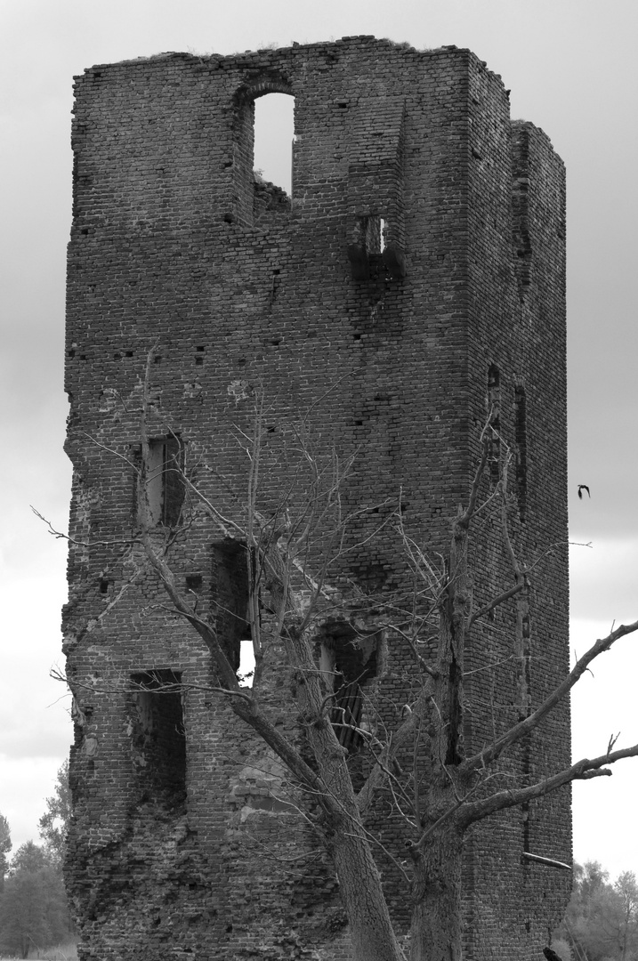 Mäuseturm von Aengenesch