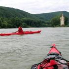 Mäuseturm voraus