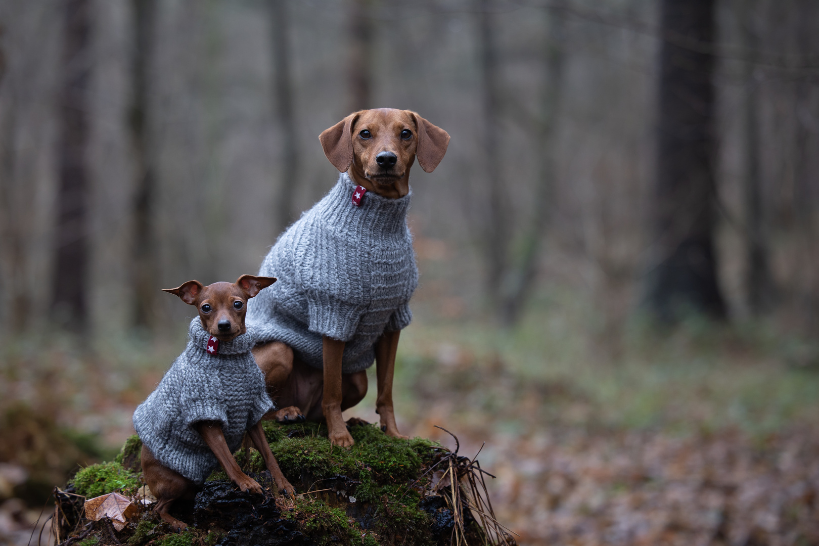 Mäxchen und Luise