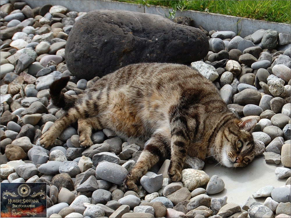 Mäxchen und seine Steine (2)