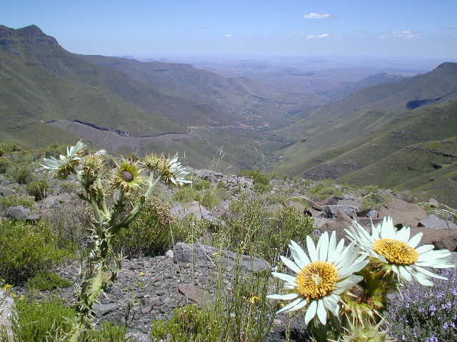 Mafika Lisiu Pass, 3090 mtr.