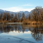 Magadino Lago Maggiore   Januar