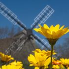 Magaliesberg Windmill