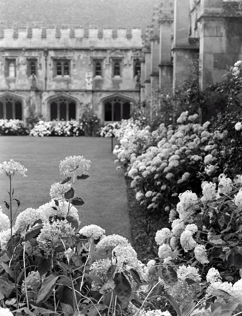 Magdalen College (Universidad de Oxford)