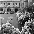 Magdalen College (Universidad de Oxford)