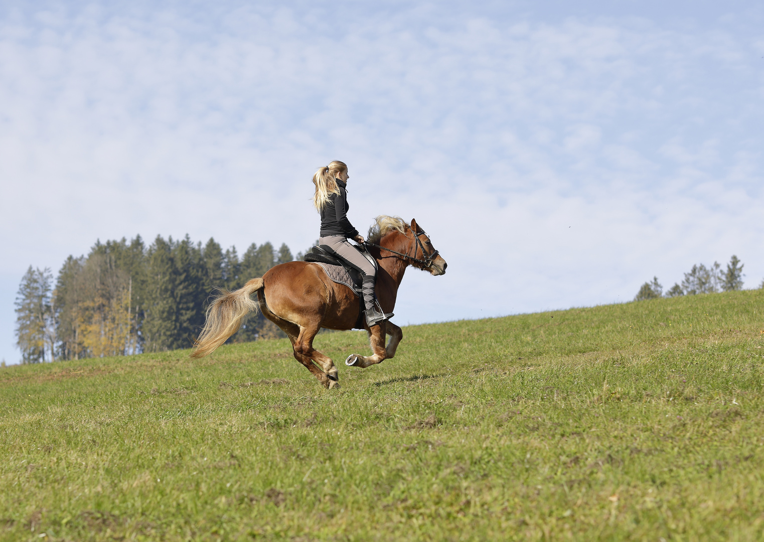 Magdalena_fliegt auf LUCY den Hang hinauf