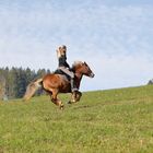 Magdalena_fliegt auf LUCY den Hang hinauf