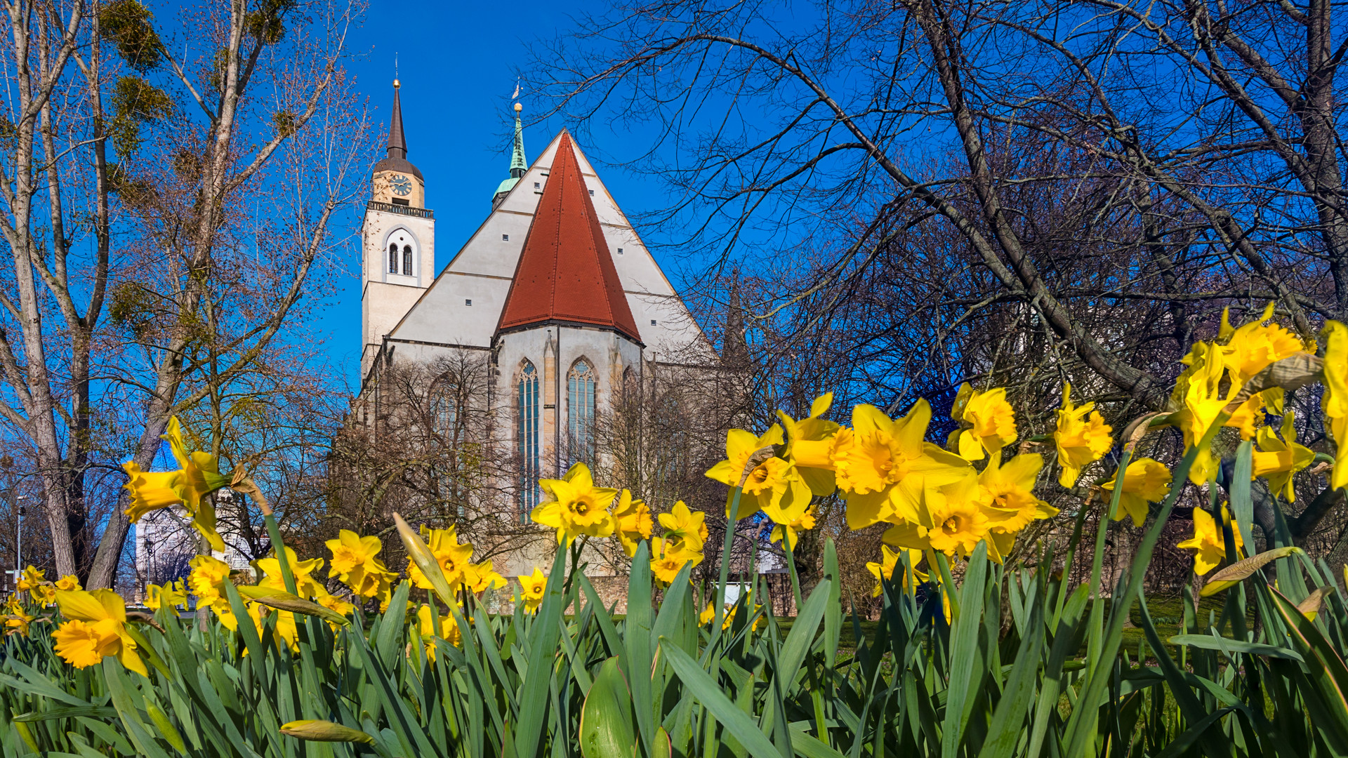 Magdeburg blüht auf