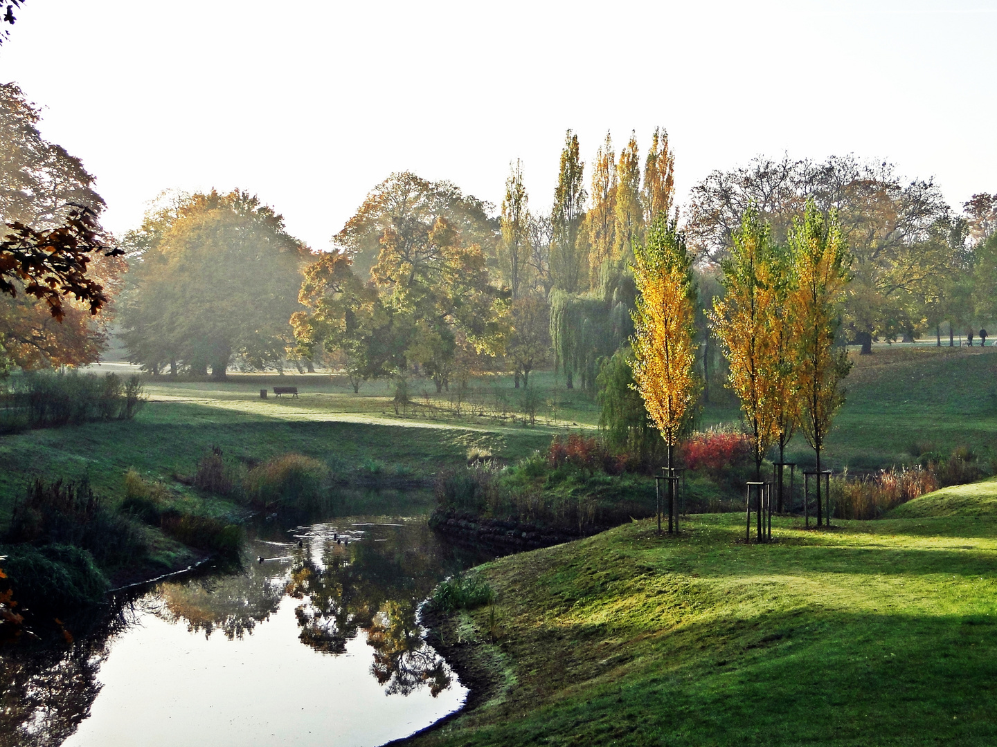 Magdeburg Herbstlicher Klosterbergegarten