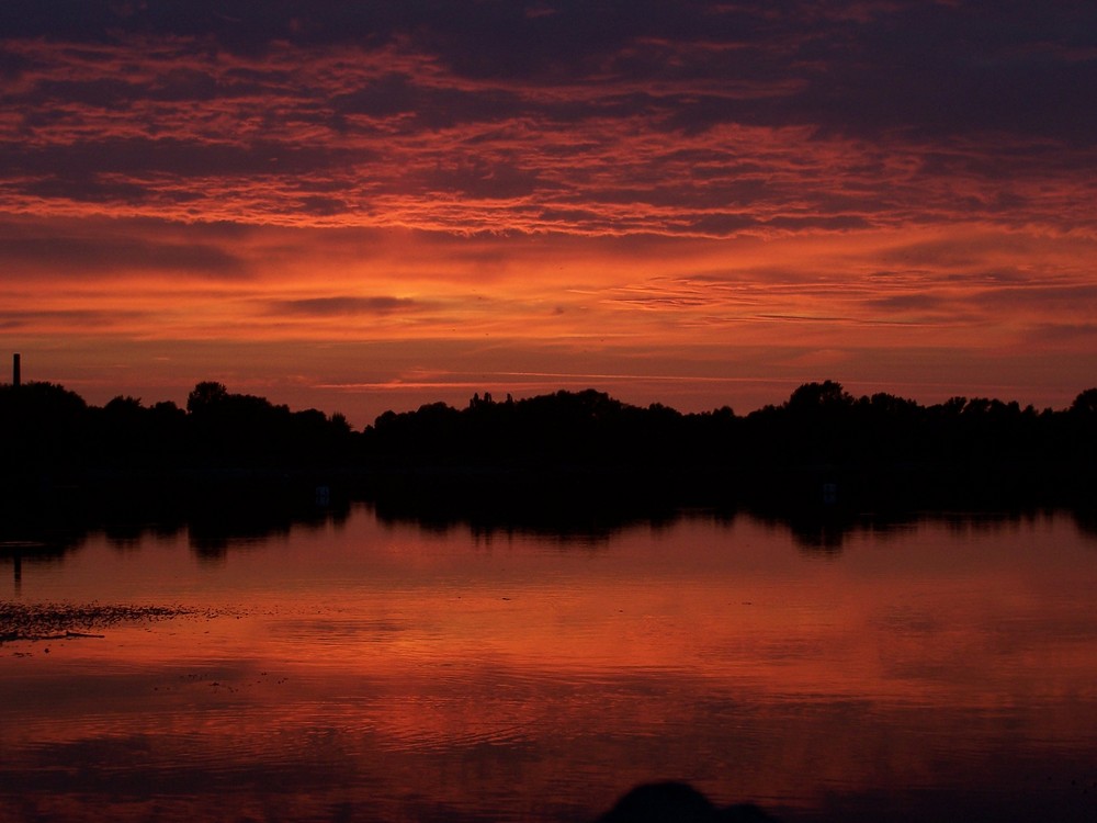Magdeburg "Salbker See II" Foto & Bild landschaft, bach, fluss & see