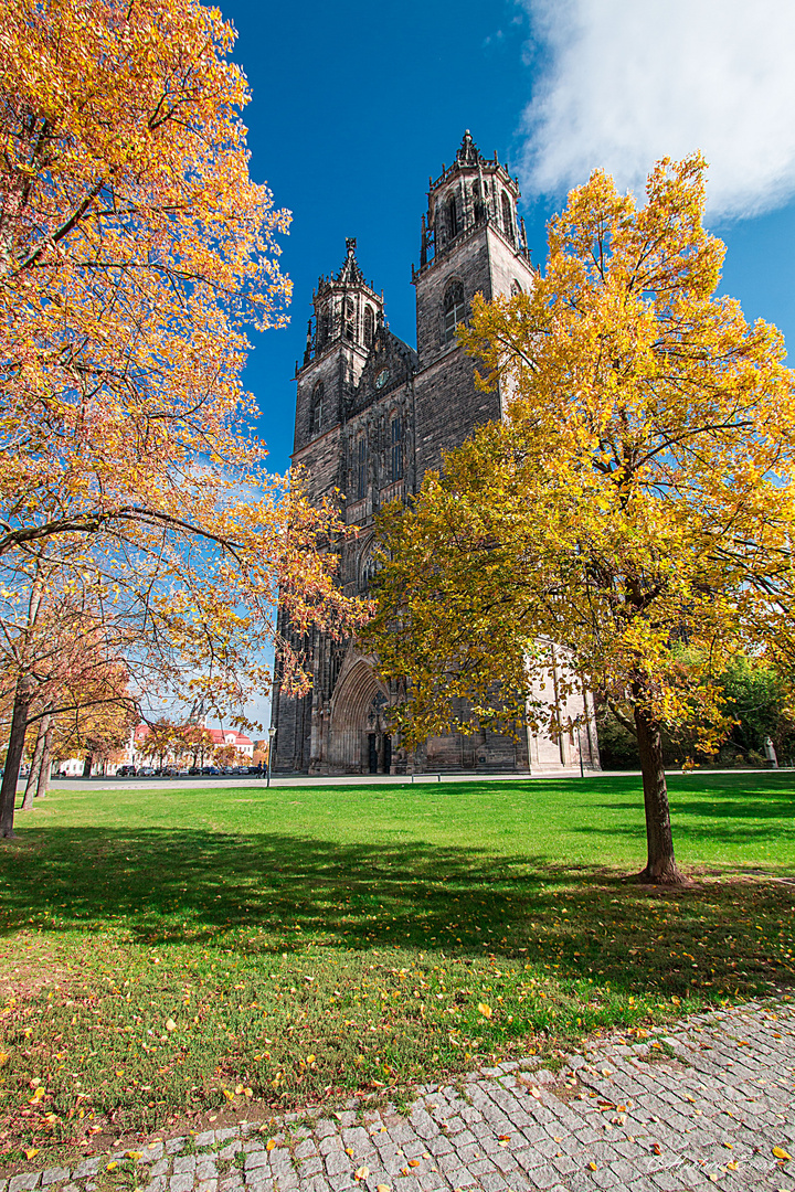 Magdeburger Dom