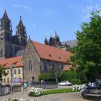 Magdeburger Dom