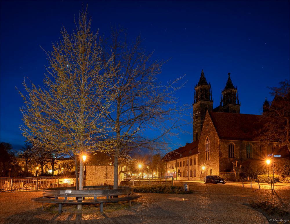 Magdeburger Dom