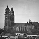 Magdeburger Dom (Analog)