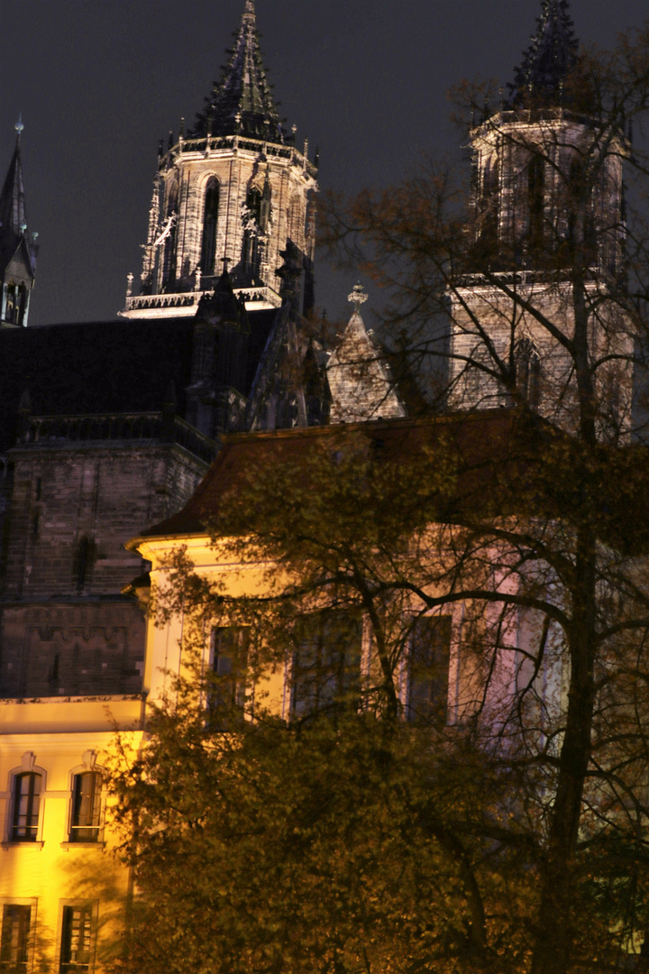 Magdeburger Dom bei Nacht