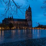 Magdeburger Dom bei Regenwetter