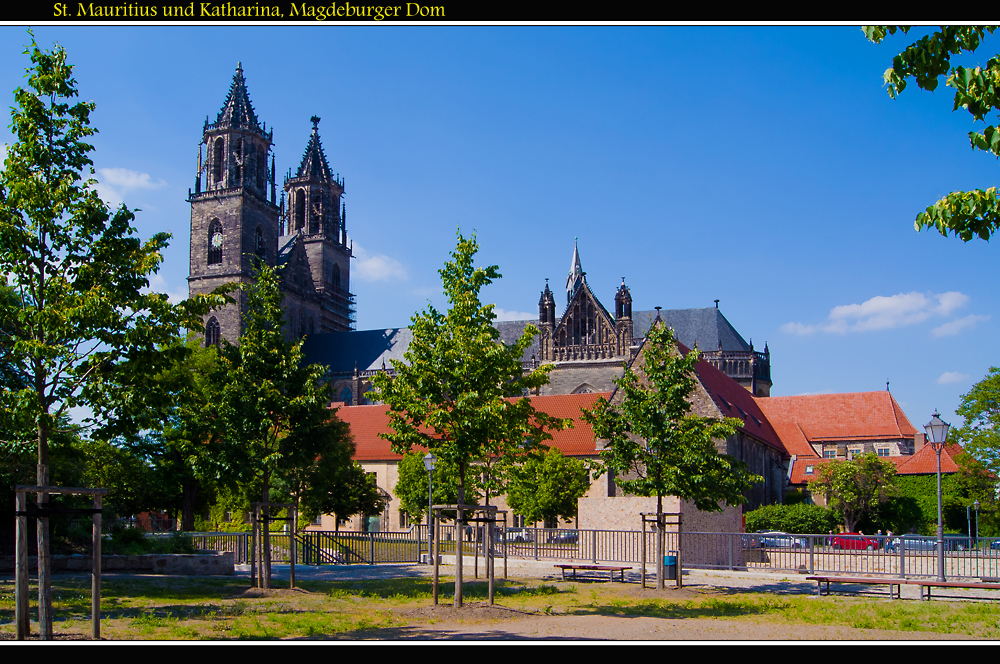 Magdeburger Dom