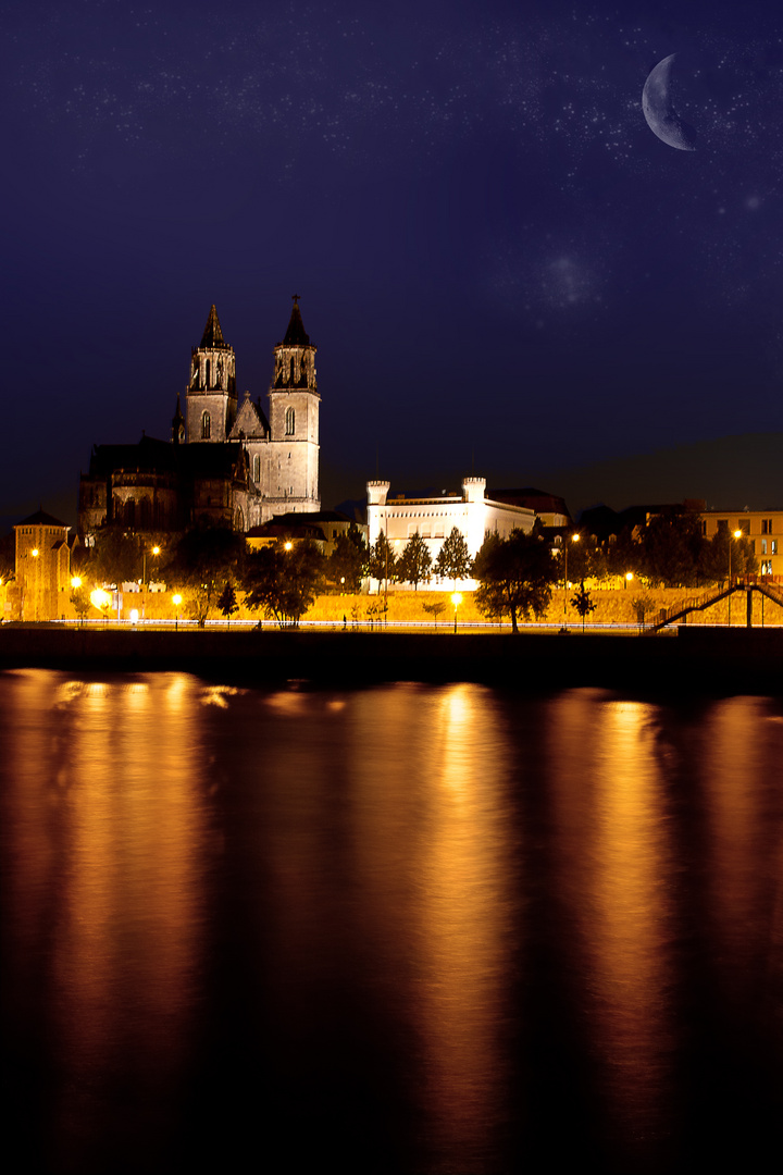 Magdeburger Dom im Panorama