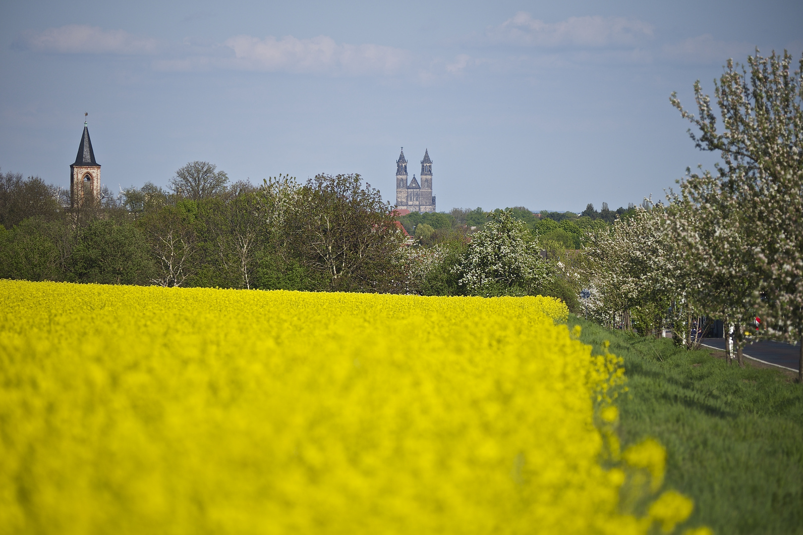 Magdeburger Dom mal Anders