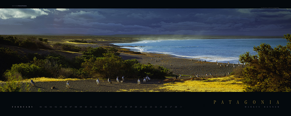 Magellanpinguine bei Punta Tombo