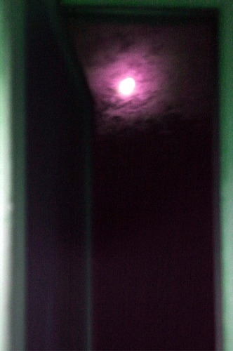 magenta Moon