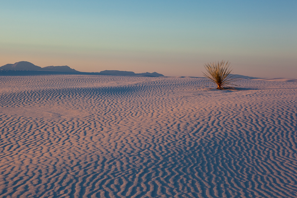 Magenta Sands