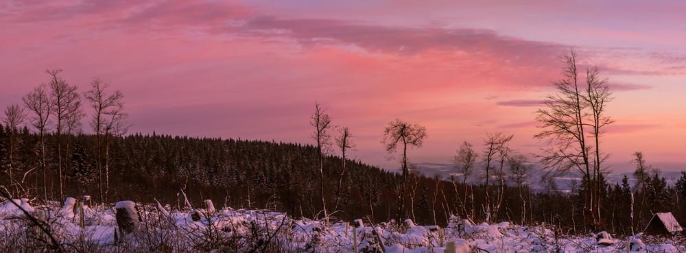 magenta Sunset