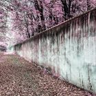 Magenta wall