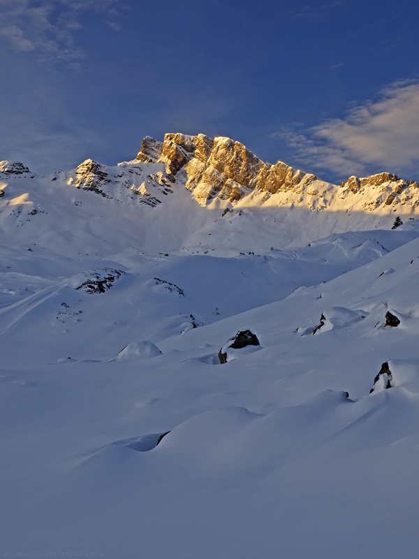 Magerrain mit Morgensonne