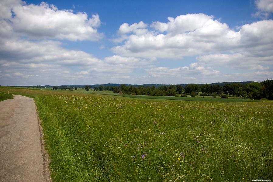 Magerwiesen