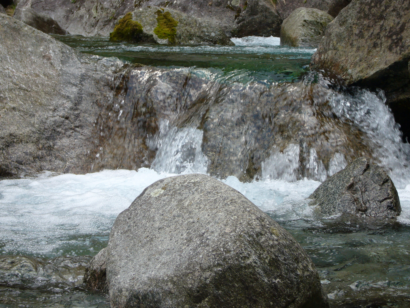 Maggia