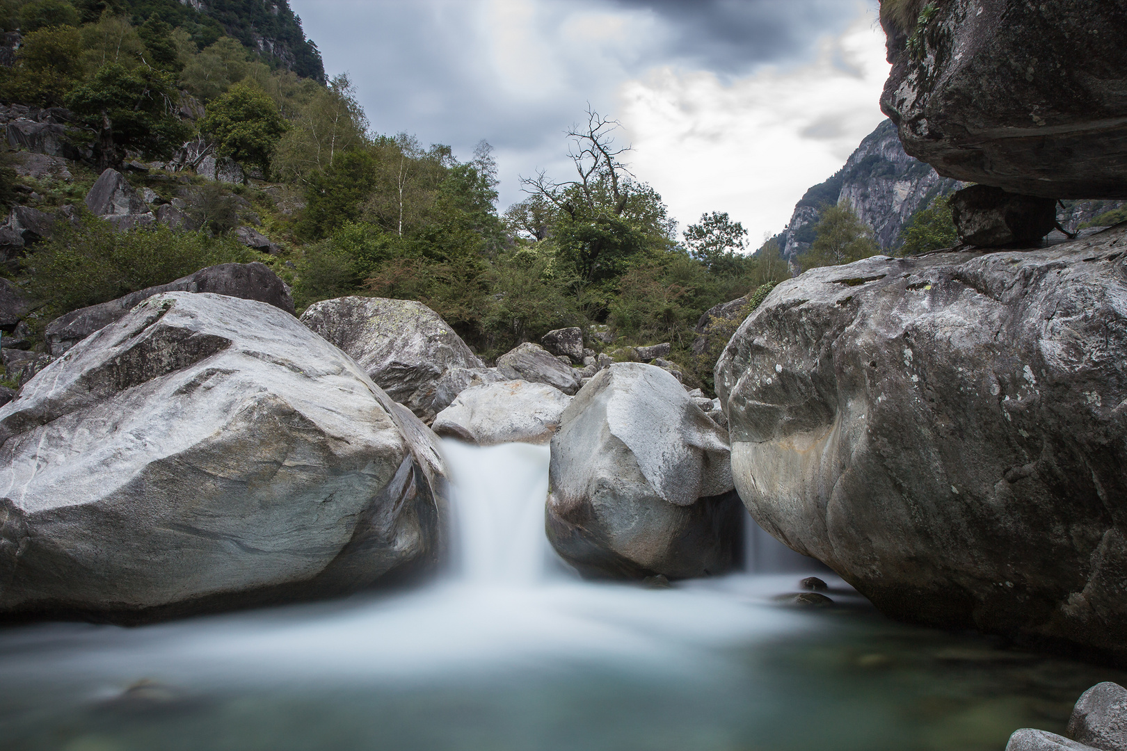 Maggia