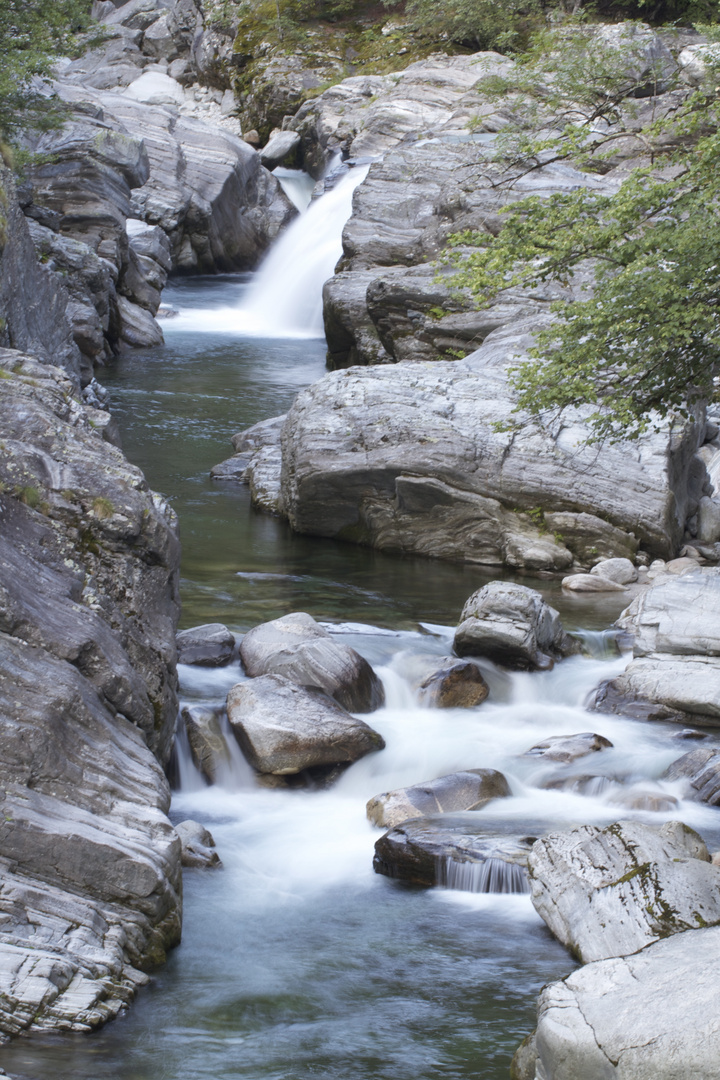 Maggia