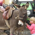 "MAGGIE" E IL SOMARELLO!!!