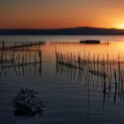 Magia al atardecer en la Albufera