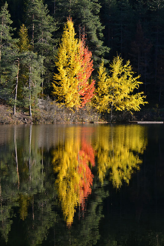 Magia d'autunno