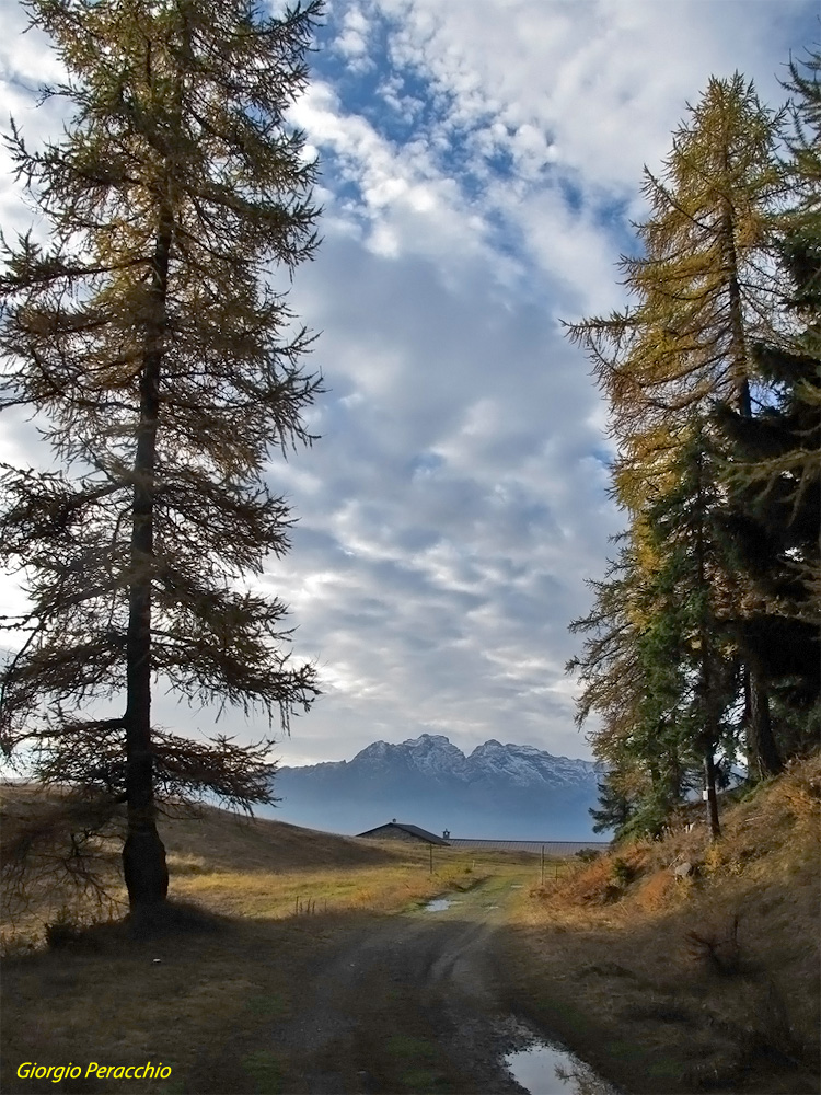 Magia della montagna