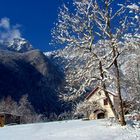 Magia della neve