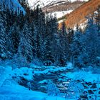 Magia della neve