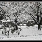 magia innevata a Milano