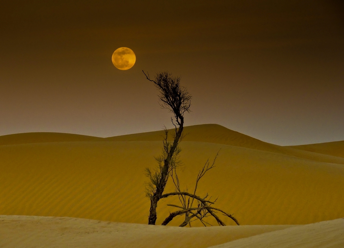 magia nel deserto