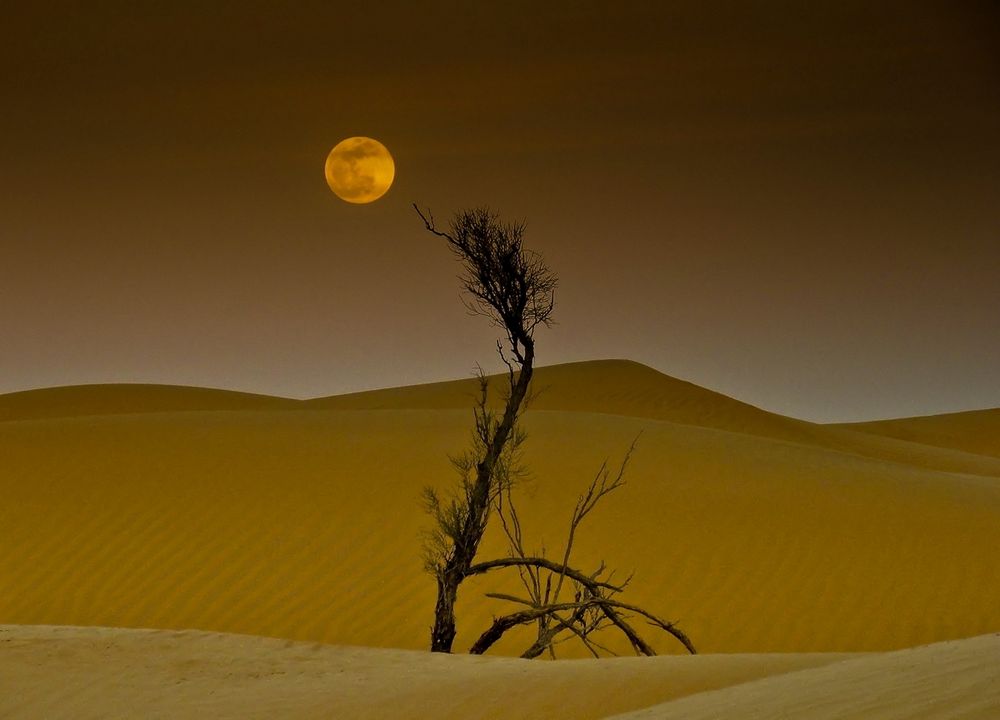 magia nel deserto