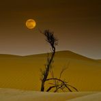 magia nel deserto