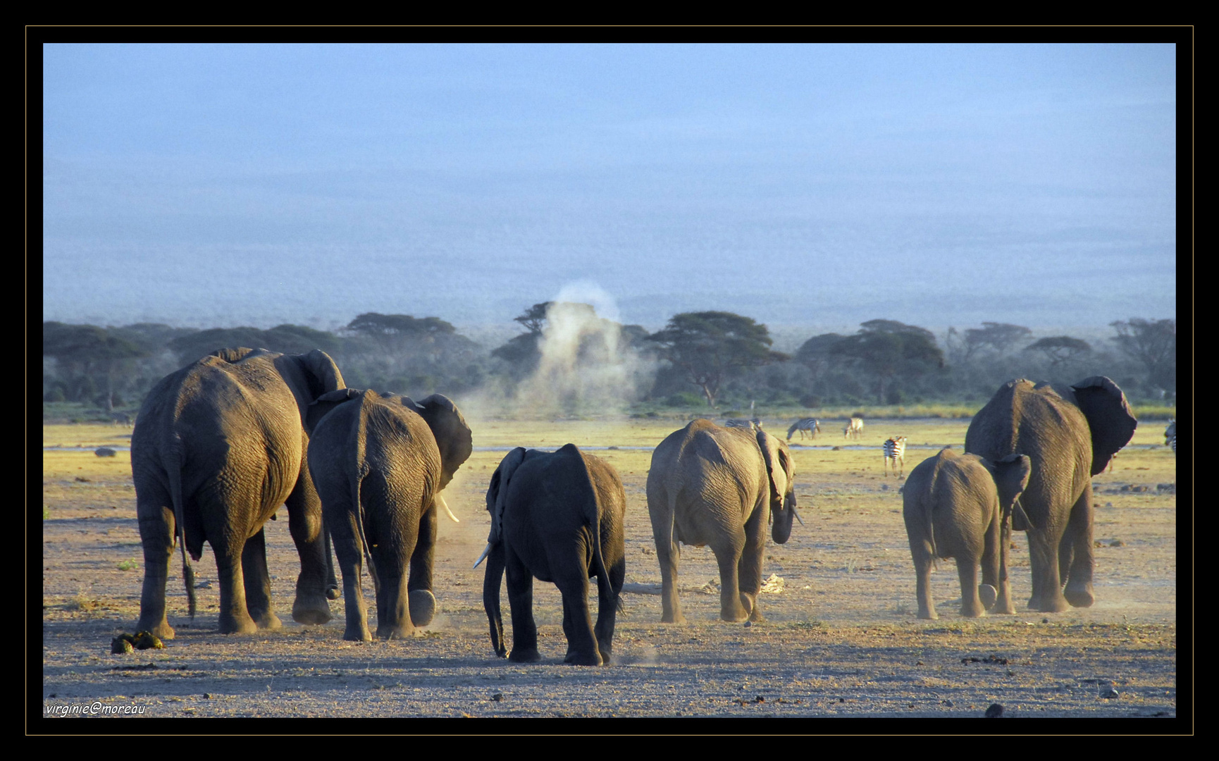 Magic Amboseli...